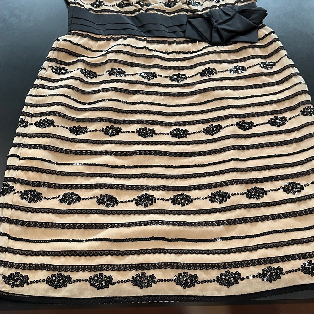 Trina Turk Black and Cream Striped Lace-Trim Mini Dress sequins 10 - Picture 5 of 6
